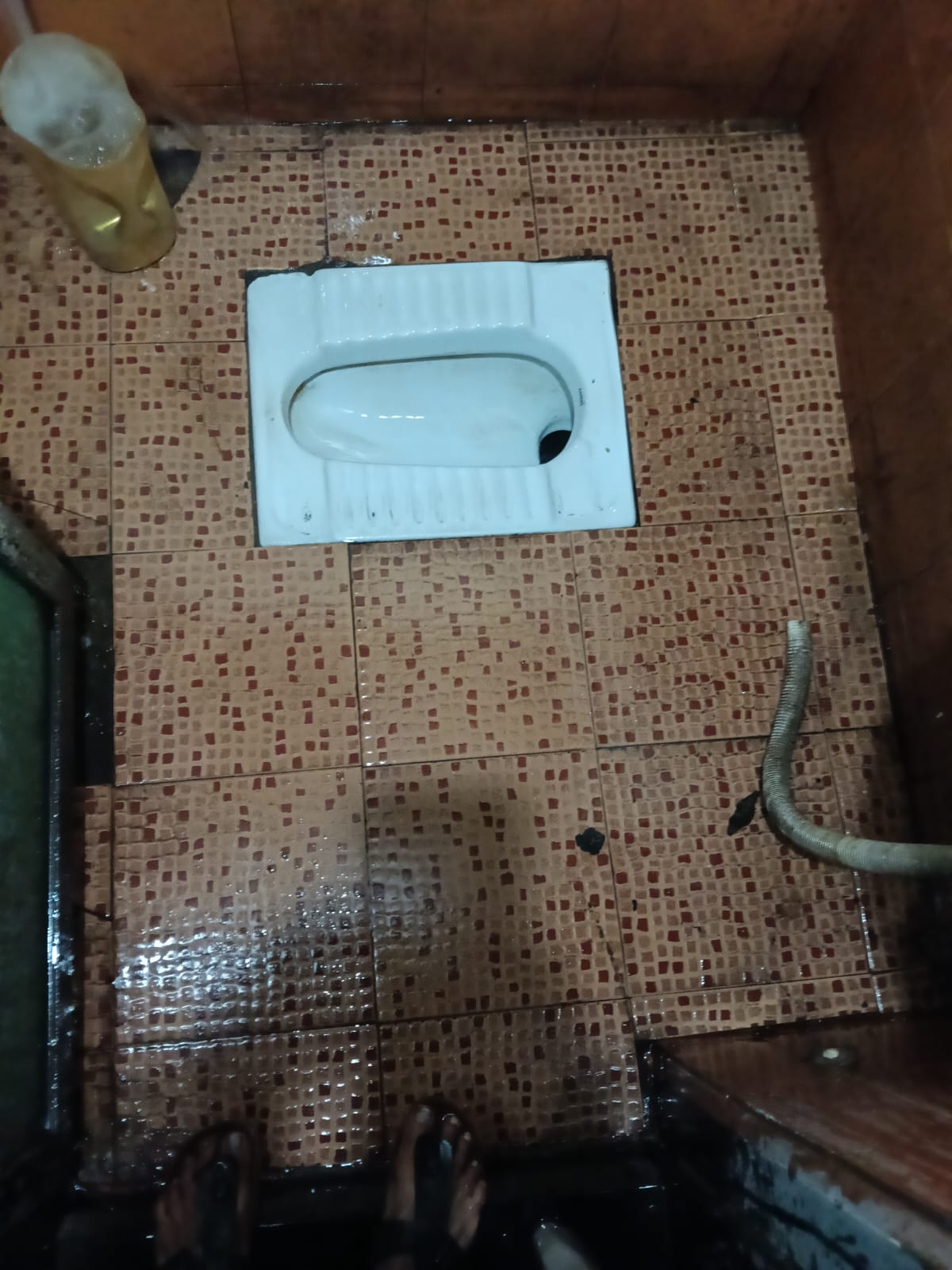 After: sparkling clean bathroom WC and tiles